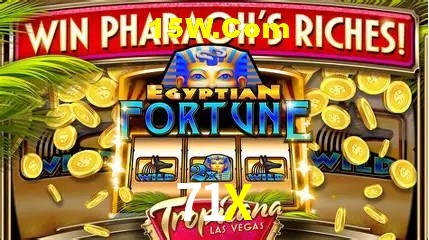 Casino Ao Vivo 71X